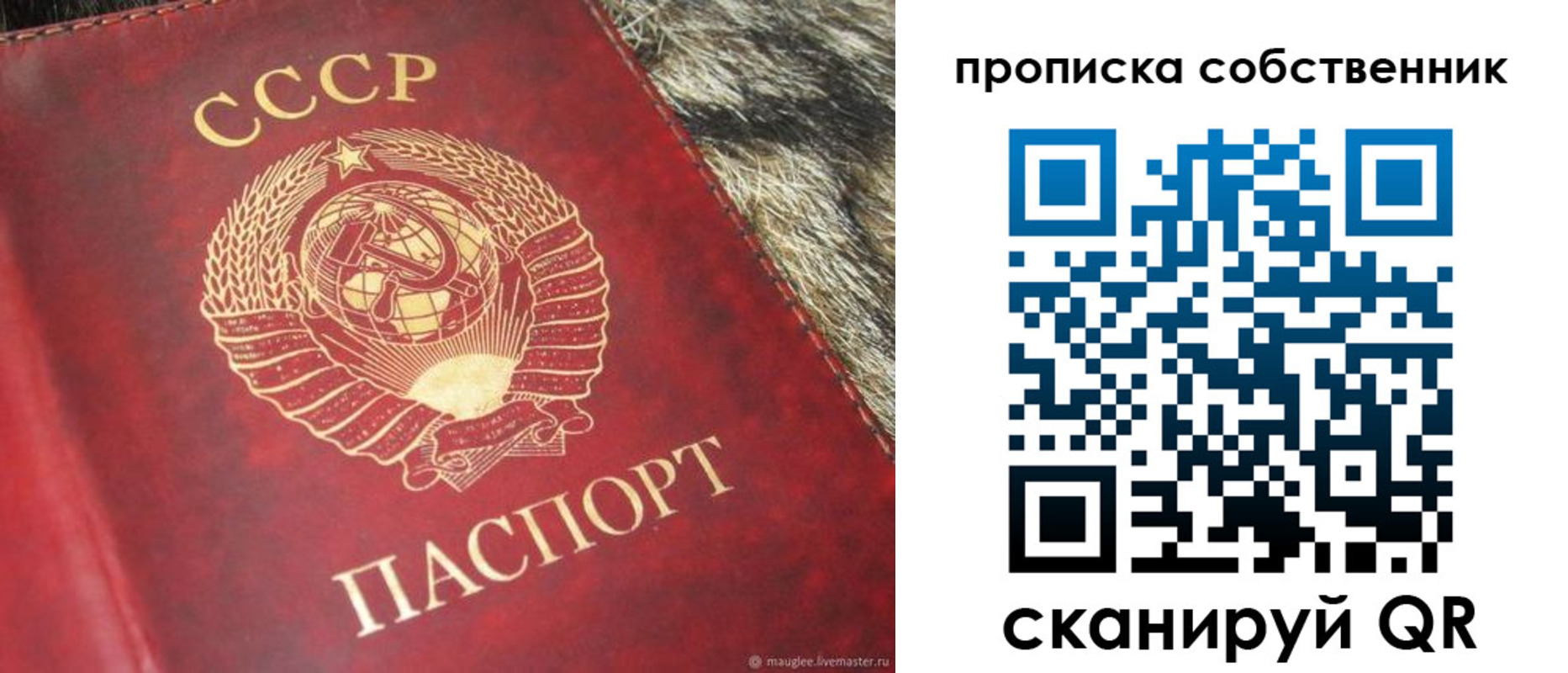 прописка в квартире в ЕАО